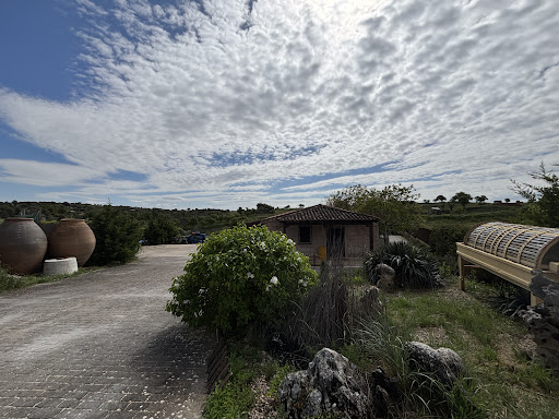 Bodega Ecológica Andrés Morate