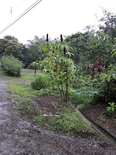 Photos of Casa Silita