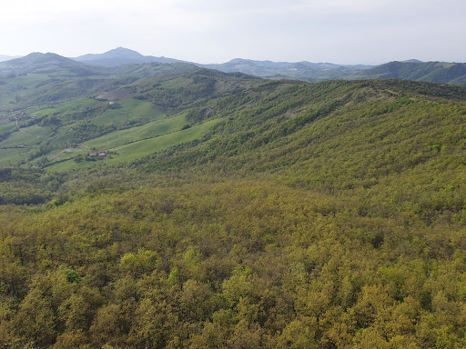 Pietra Corva - Visual