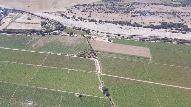 Nazca Lines