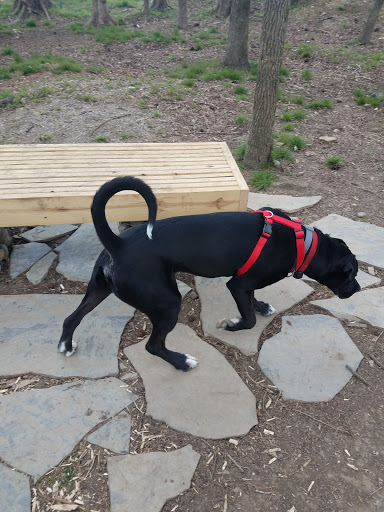 Cahaba Dog Park - Thumbnail