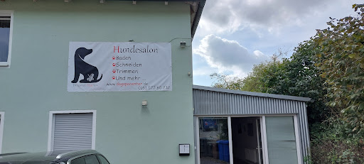 Hundesalon Dragana's Dog Spa - Thumbnail