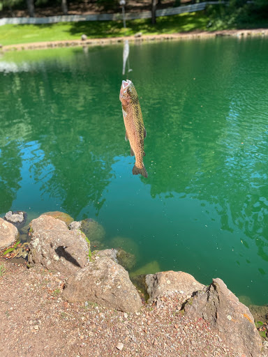 Smith's Mt. St. Helena Trout Farm & Hatchery Gallery - United States