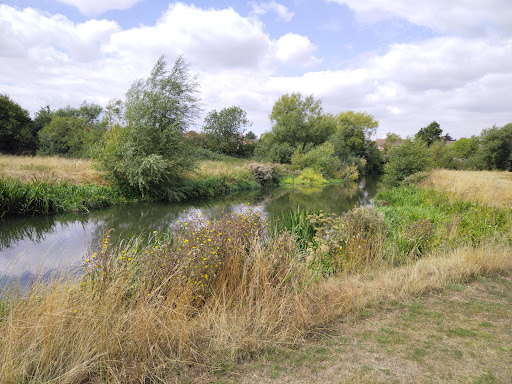 Tombs Meadow - Thumbnail