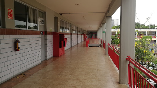 Instituto de Ciencias - Thumbnail