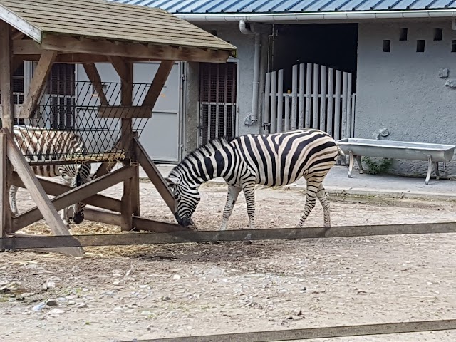 Zoo de Maubeuge