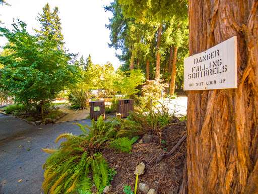 San Lorenzo Valley Museum, Grace Episcopal Gallery - Thumbnail