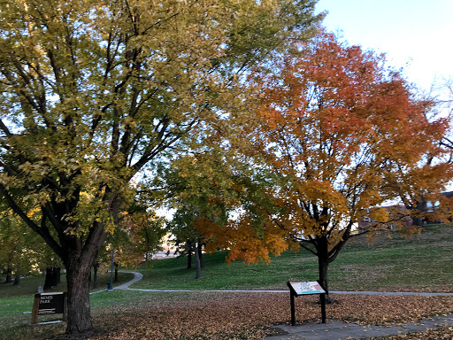 Bemis Park - Visual