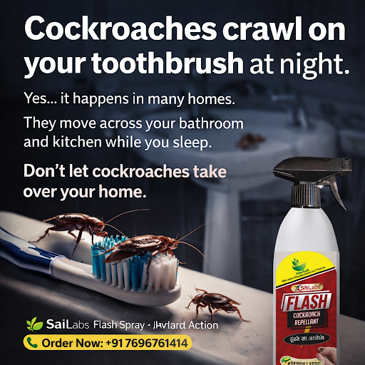 “Cockroaches crawl on your toothbrush at night.”