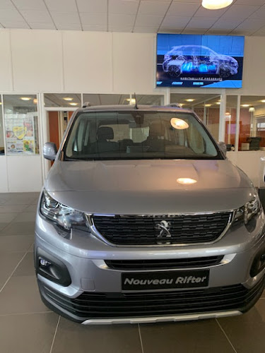 PEUGEOT MAUREL ALBI - Albi