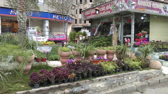 Metro Market, Author: Mahmoud Gamal