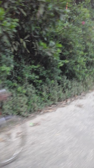 Photos of Soul Park