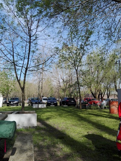 Photos of camping areco