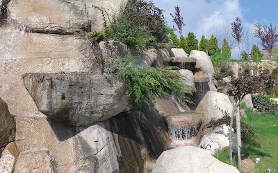 Photos of K&uuml;tahya Porselen