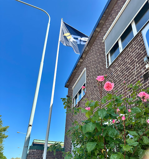RSA Helsingborg - Visual