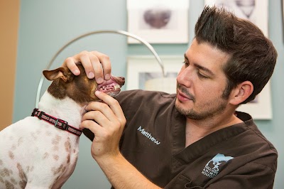 Photos of Hillside Animal Hospital