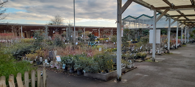 17 Rue de Drocourt, 62320 Rouvroy, France