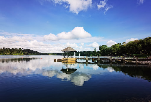 Lower Peirce Reservoir Pavilion Gallery - Singapore