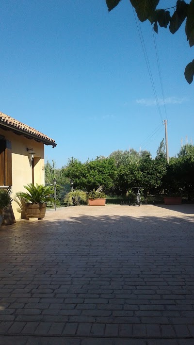 Photos of Al Grande Gelso