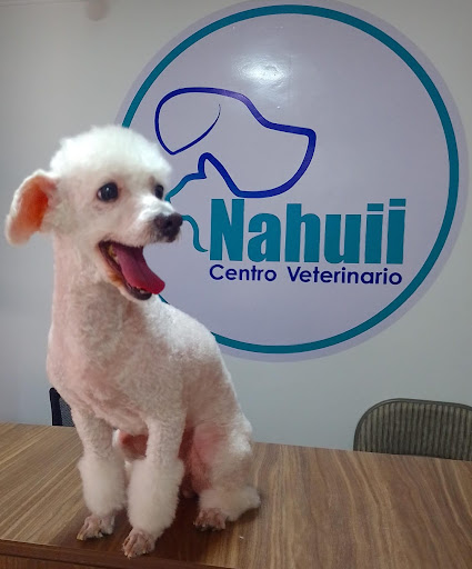 Centro Veterinario Nahuii