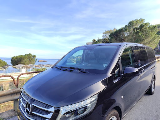 Sicily Car Driver - Thumbnail