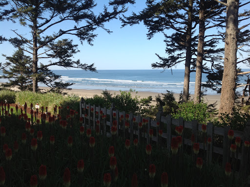 Tyee Lodge Ocean Front Bed & Breakfast - Thumbnail