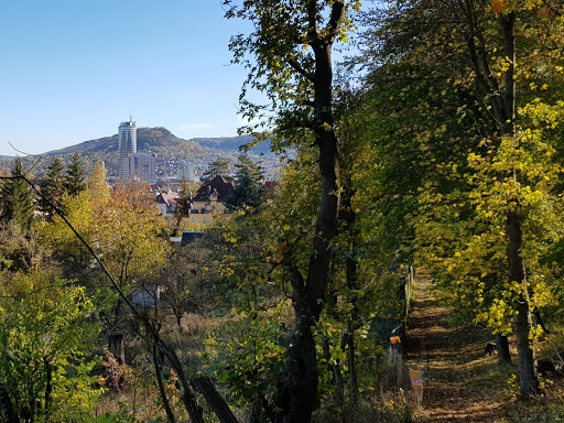 Gartenverein "Im Langetal"
