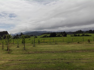 Photos of Loft vista al Lago Llanquihue