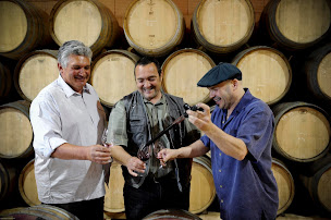 Photo n°1 de SAS les Vins de Vienne à Chavanay (Vignoble)