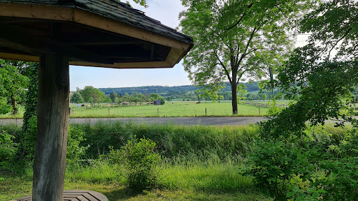 Gutspark Großjena - Visual
