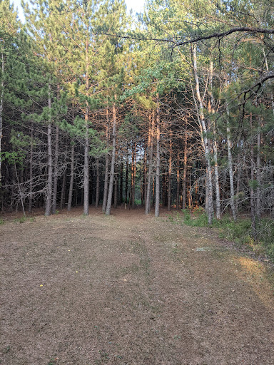 Red Pine Run - Visual