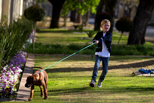 Uomini e Cani Torriglia - Thumbnail