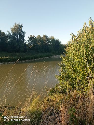 Étang de breuil-le-sec - Thumbnail