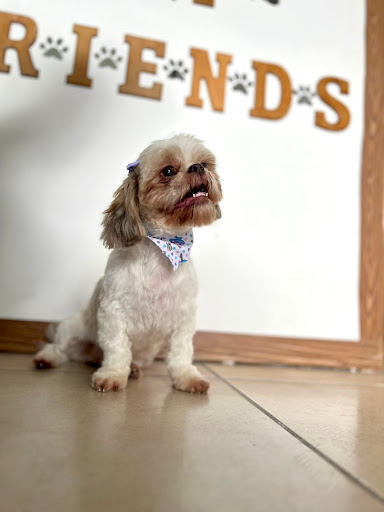 VetFriends