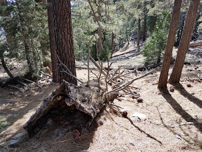 Photos of Santa Rosa Campground