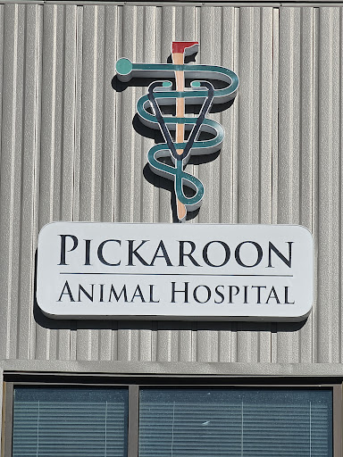 Pickaroon Animal Hospital - Thumbnail