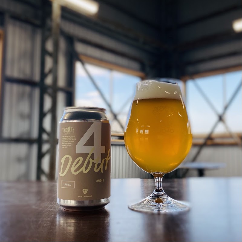 DD4D FACTORY & CURIOSITIES