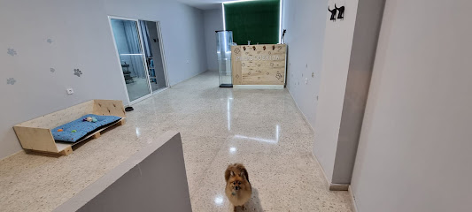 Peluquería Canina PerruqueRita
