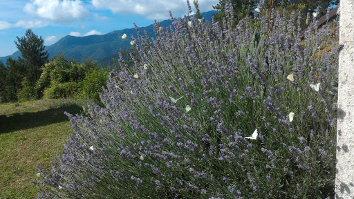La Perla dell'Alta Via AAUT - Thumbnail