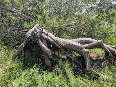 Osamequin Nature Trails and Bird Sanctuary