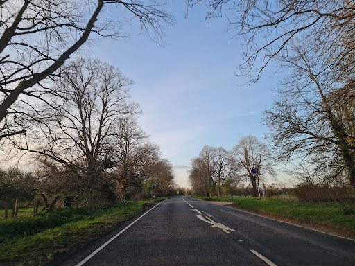 Ibsley Drove - Thumbnail
