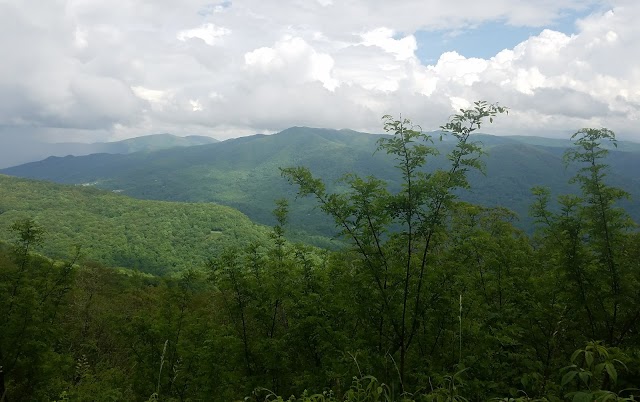 Wesner Bald Overlook