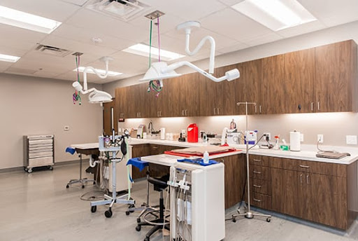 Dallas Veterinary Dentistry & Oral Surgery - Thumbnail