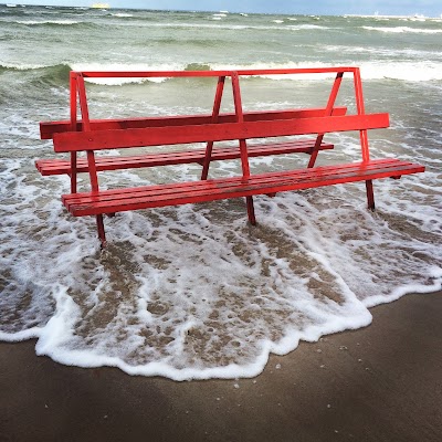 Photos of Shlicks Pirita beach