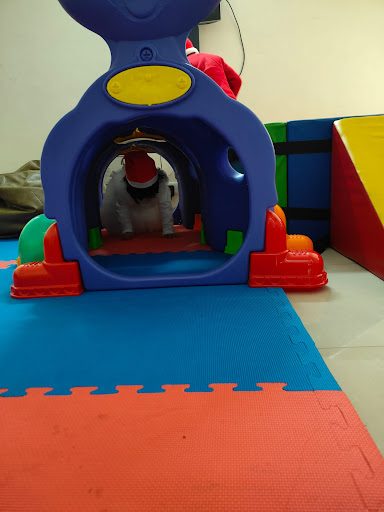 Gallery image 6