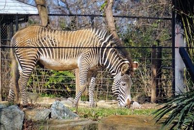 Smithsonian National Zoological Park