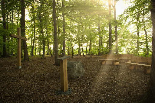 RuheForst Bell am Laacher See - Thumbnail