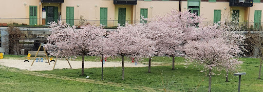 Progetto case paganica 2