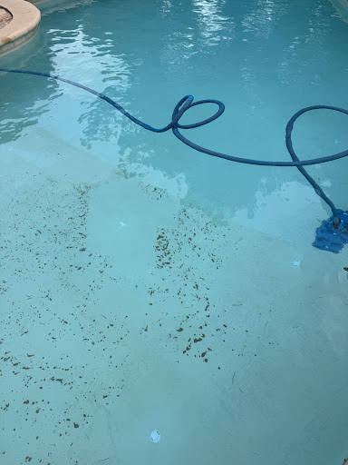 Photo de STAFF piscines - entretien / réparation / construction de piscines à Saint-Cyr-sur-Mer (83270)