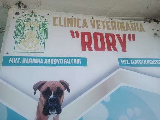 RORY - Visual